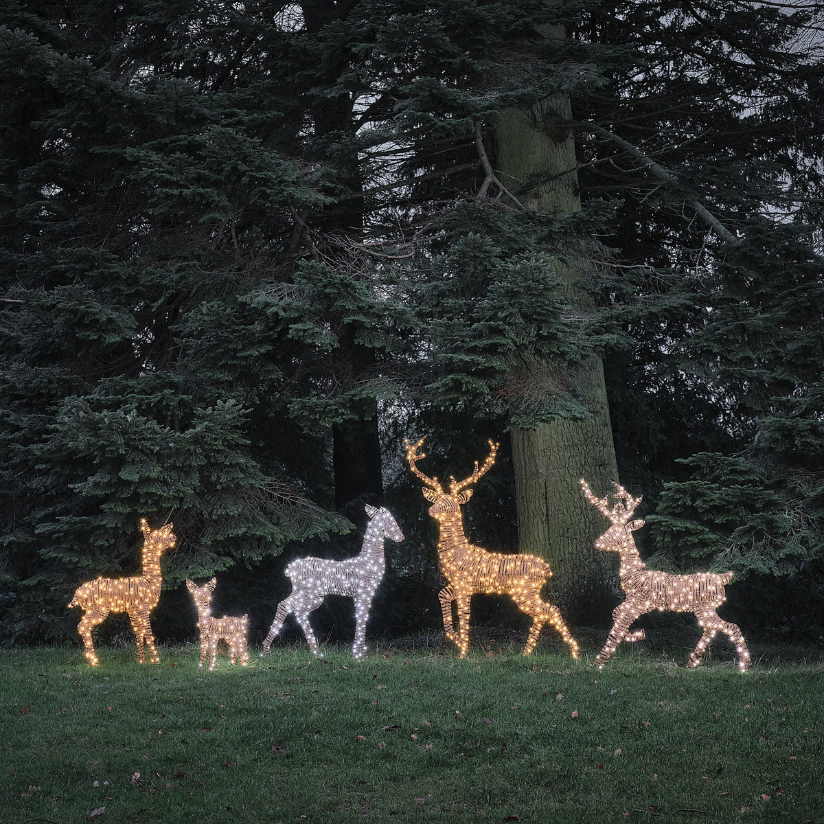 Grande Famille de 5 Rennes Lumineux LED Bicolores en Rotin Noir et Marron