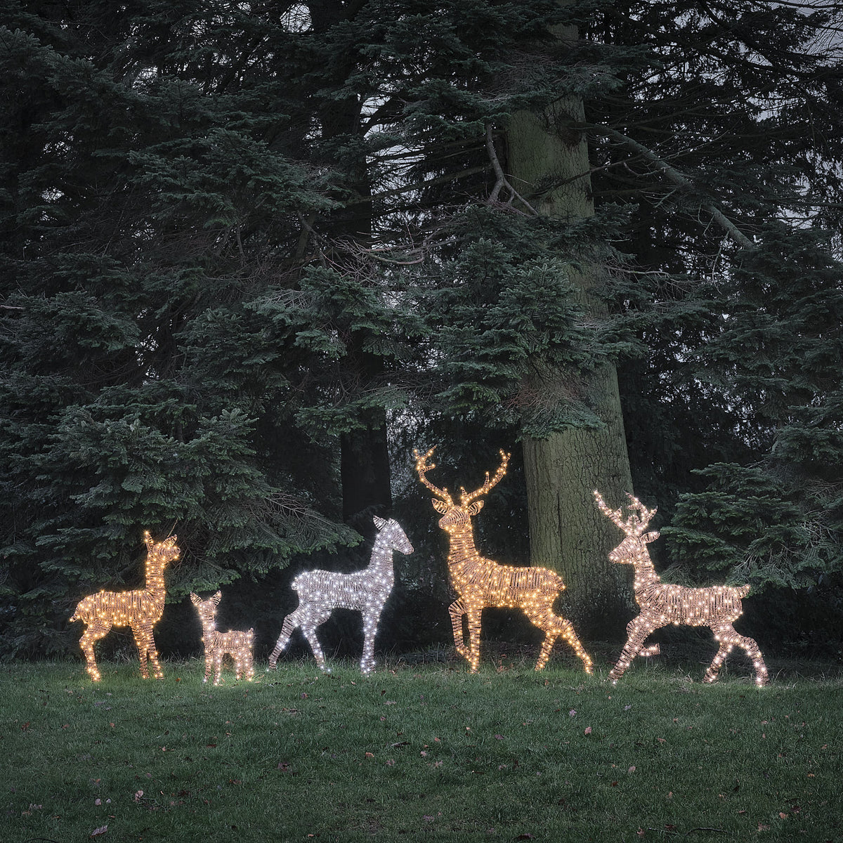 Grande Famille de 5 Rennes Lumineux LED Bicolores en Rotin Noir et Marron