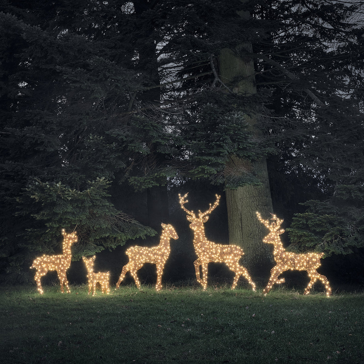 Grande Famille de 5 Rennes Lumineux LED Bicolores en Rotin Noir et Marron