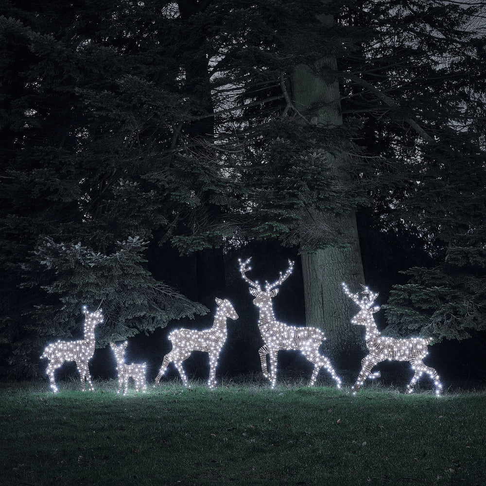 Grande Famille de 5 Rennes Lumineux LED Bicolores en Rotin Noir et Marron