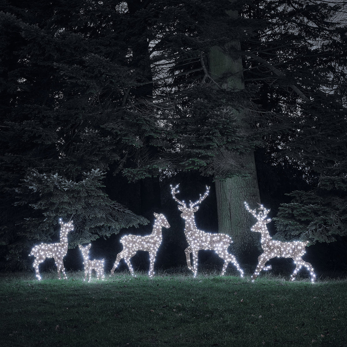 Grande Famille de 5 Rennes Lumineux LED Bicolores en Rotin Noir et Marron