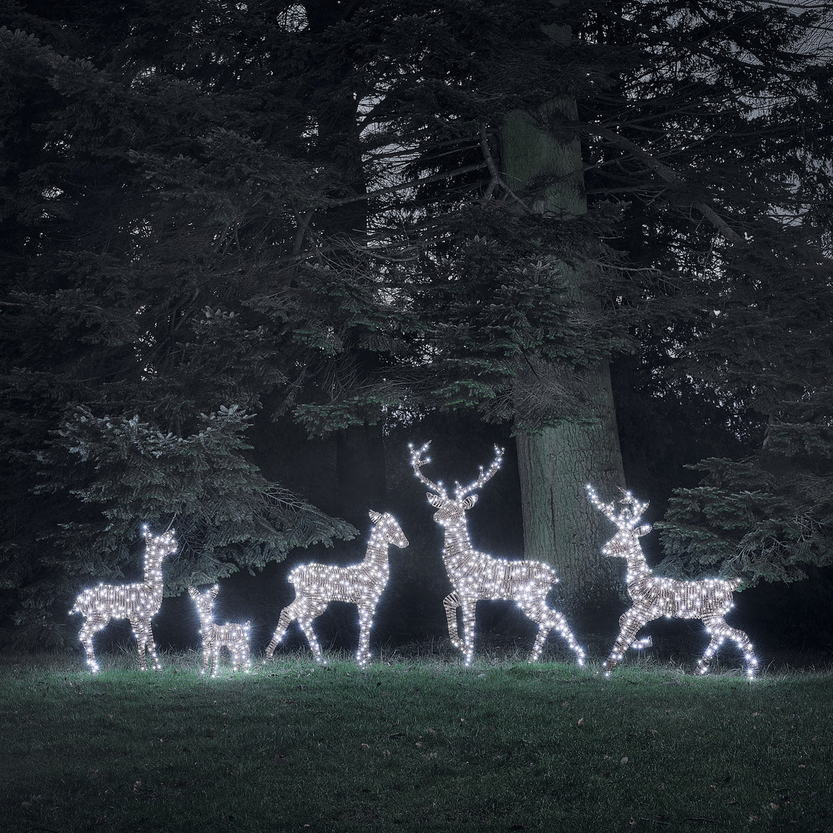 Grande Famille de 5 Rennes Lumineux LED Bicolores en Rotin Noir et Marron