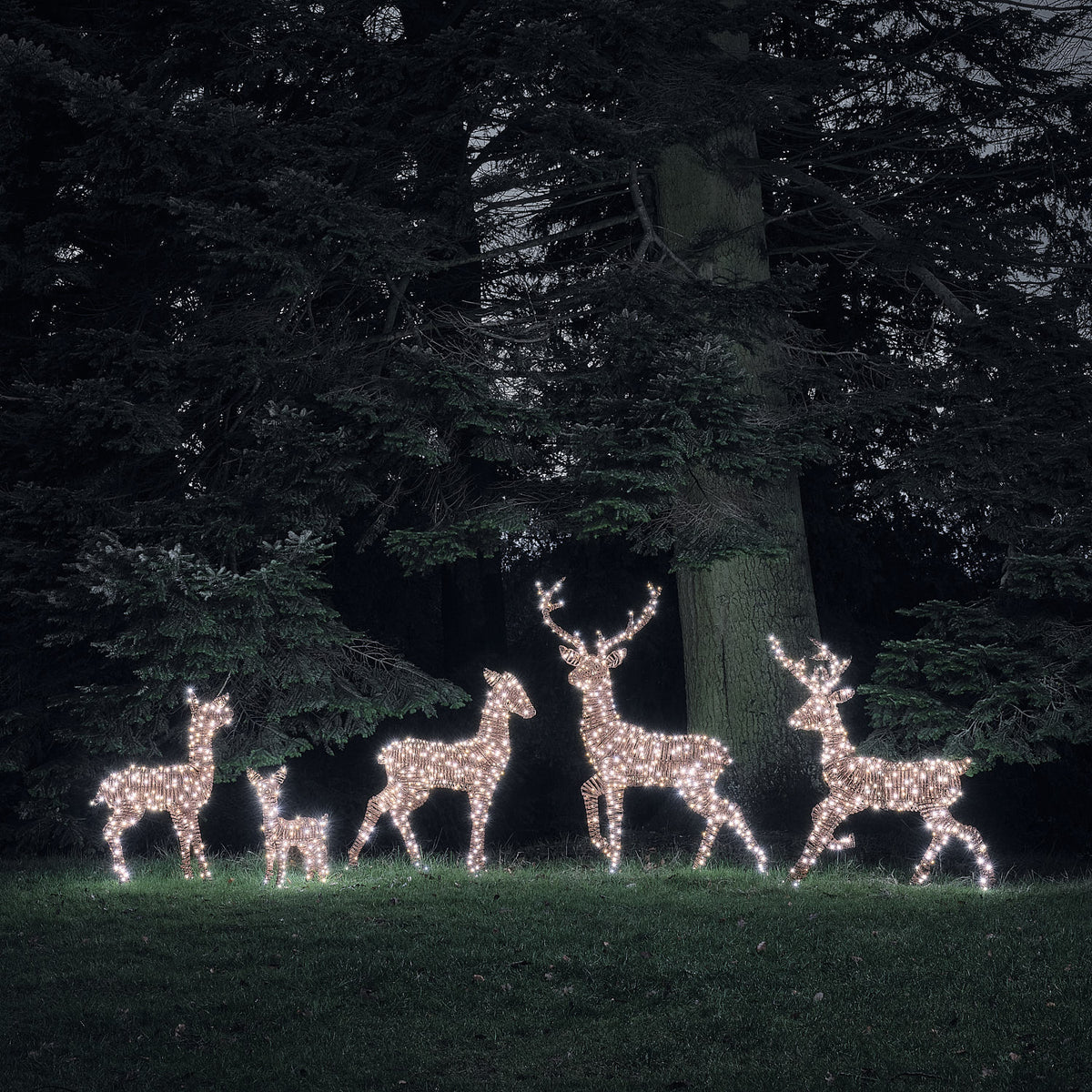 Grande Famille de 5 Rennes Lumineux LED Bicolores en Rotin Noir et Marron