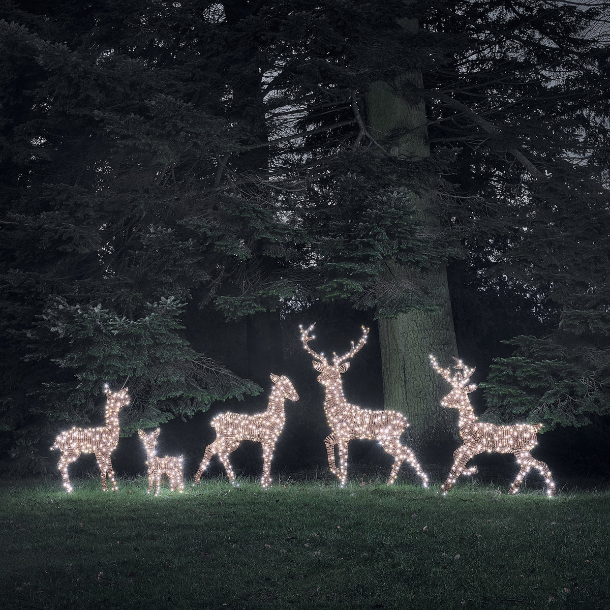 Grande Famille de 5 Rennes Lumineux LED Bicolores en Rotin Noir et Marron