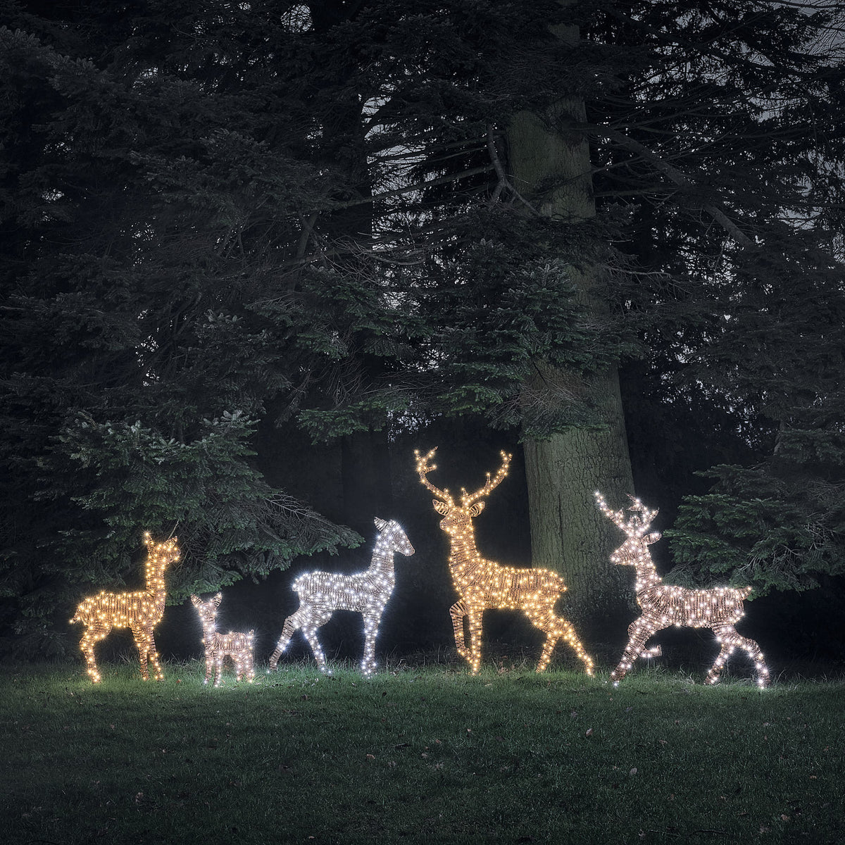 Grande Famille de 5 Rennes Lumineux LED Bicolores en Rotin Noir et Marron