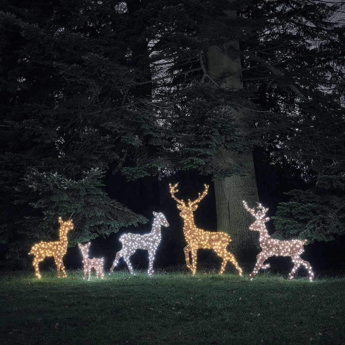 Biche Lumineuse Pateley de 110 cm en Rotin à LED Bicolores