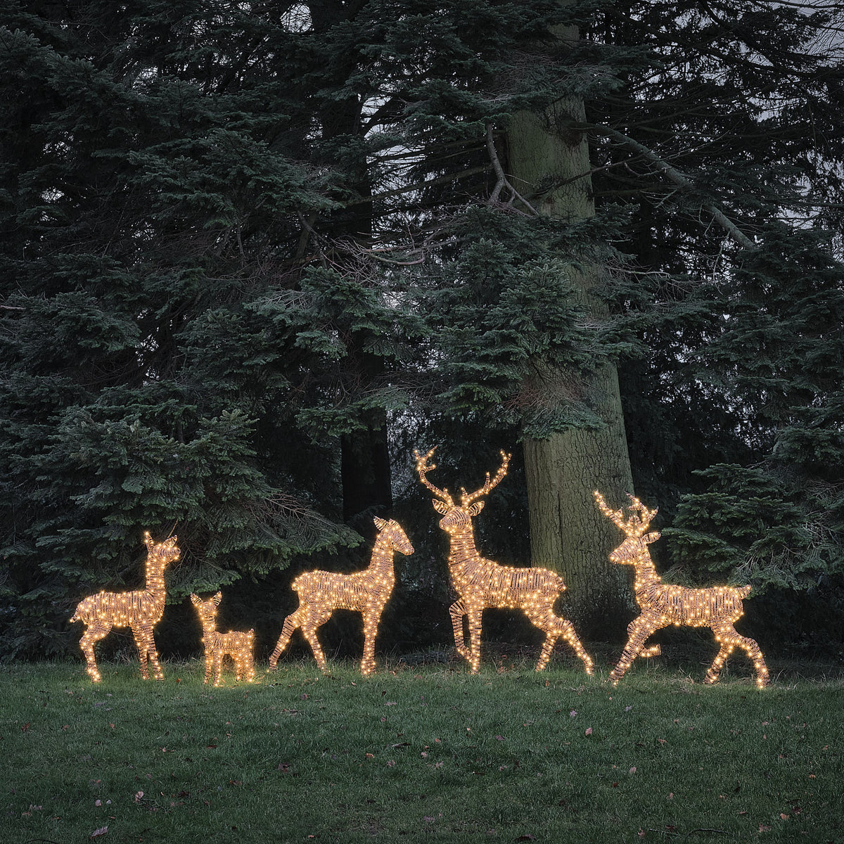 Grande Famille de 5 Rennes Lumineux LED Bicolores en Rotin Noir et Marron
