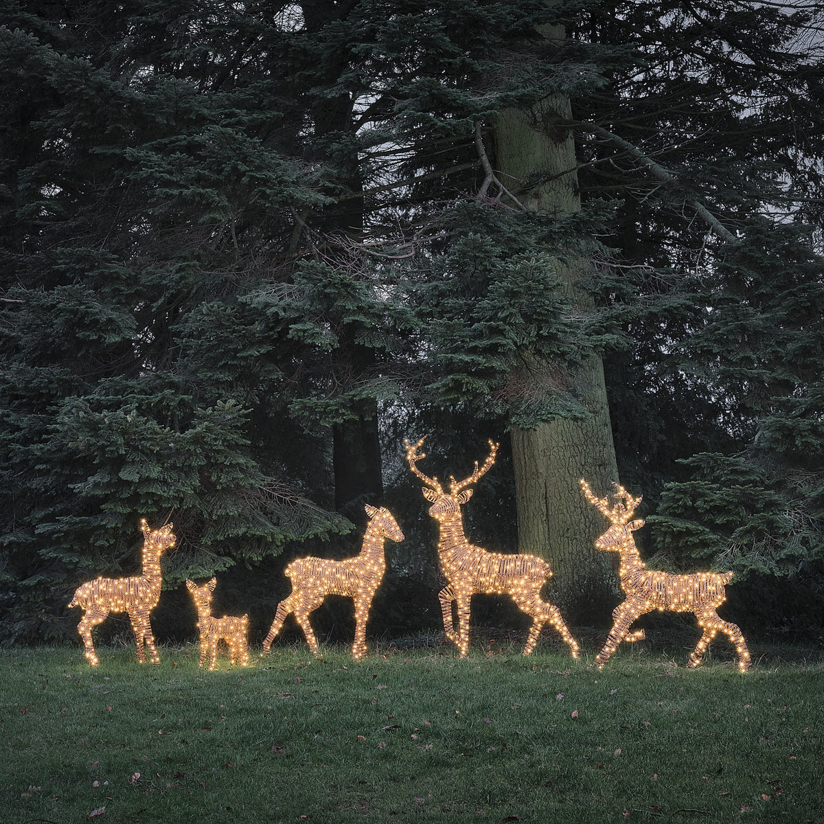Grande Famille de 5 Rennes Lumineux LED Bicolores en Rotin Noir et Marron