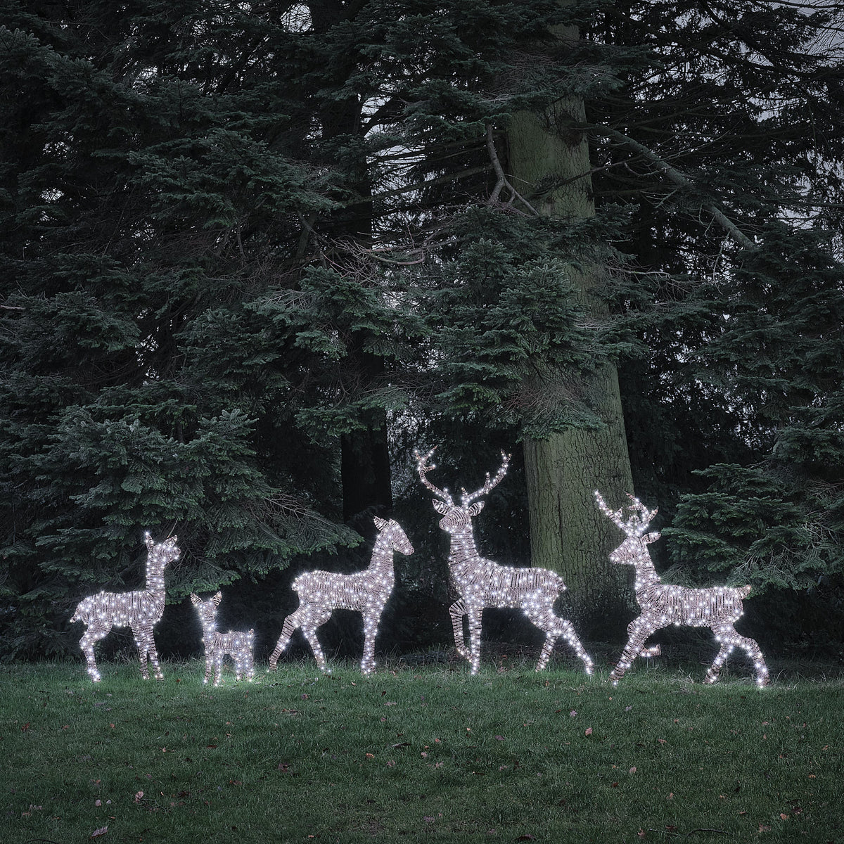 Grande Famille de 5 Rennes Lumineux LED Bicolores en Rotin Noir et Marron