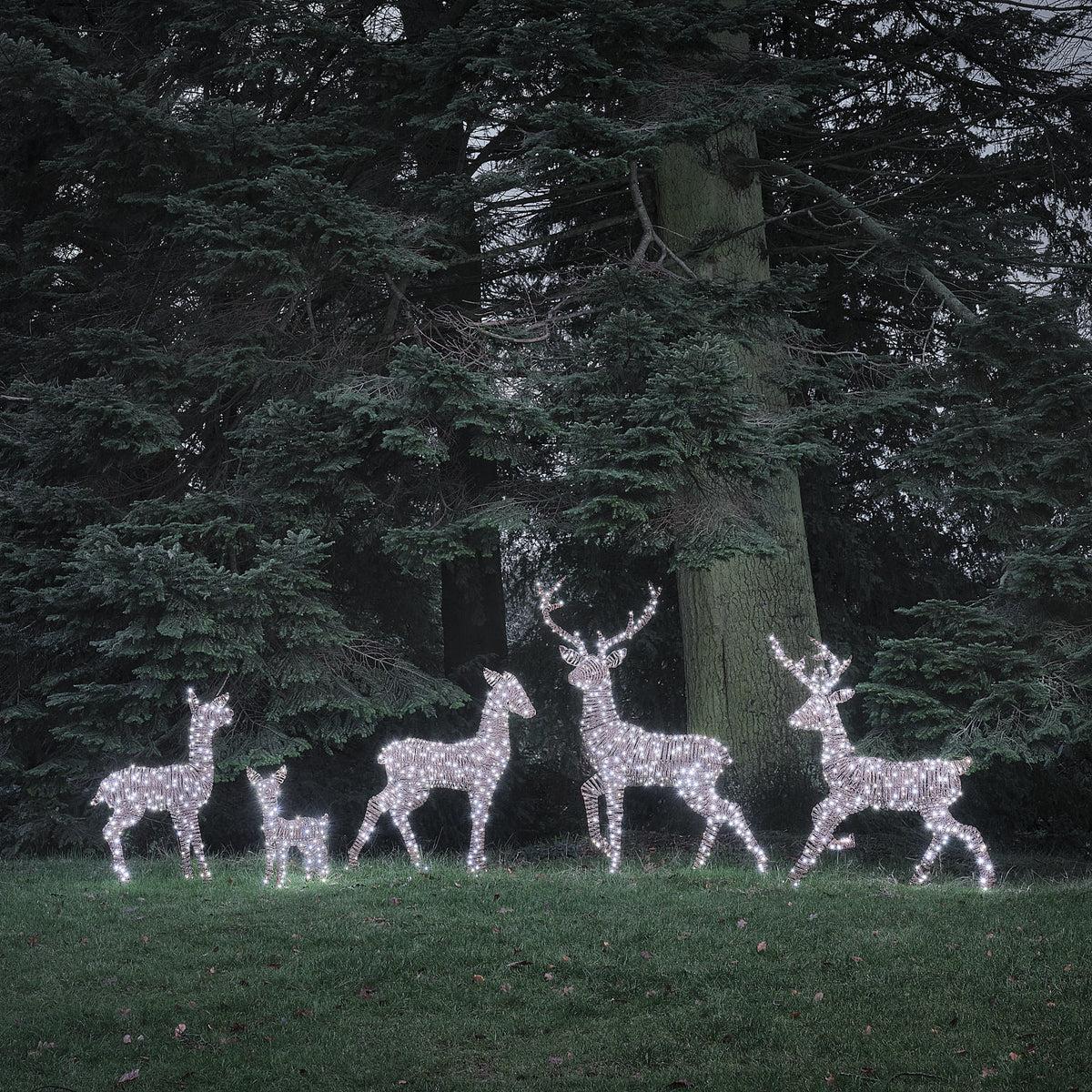 Grande Famille de 5 Rennes Lumineux LED Bicolores en Rotin Noir et Marron