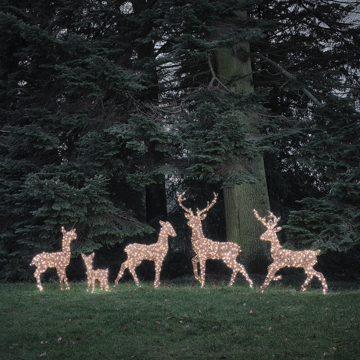 Grande Famille de 5 Rennes Lumineux LED Bicolores en Rotin Noir et Marron