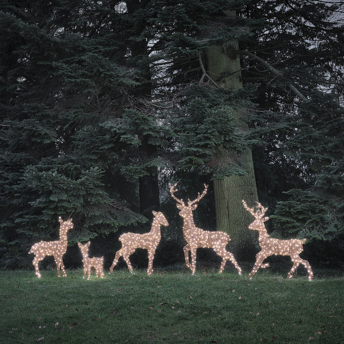 Grande Famille de 5 Rennes Lumineux LED Bicolores en Rotin Noir et Marron