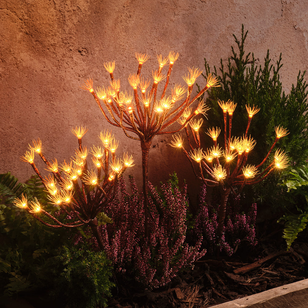 Lot de 3 Piquets Solaires Pissenlit Lumineux à LED Blanc Chaud