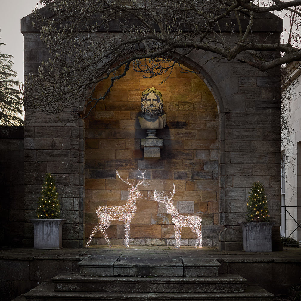 Duo de Rennes Lumineux Duchy à LED Bicolores