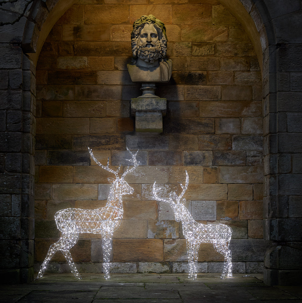 Cerf de Noël Lumineux Duchy à 600 LED Bicolore