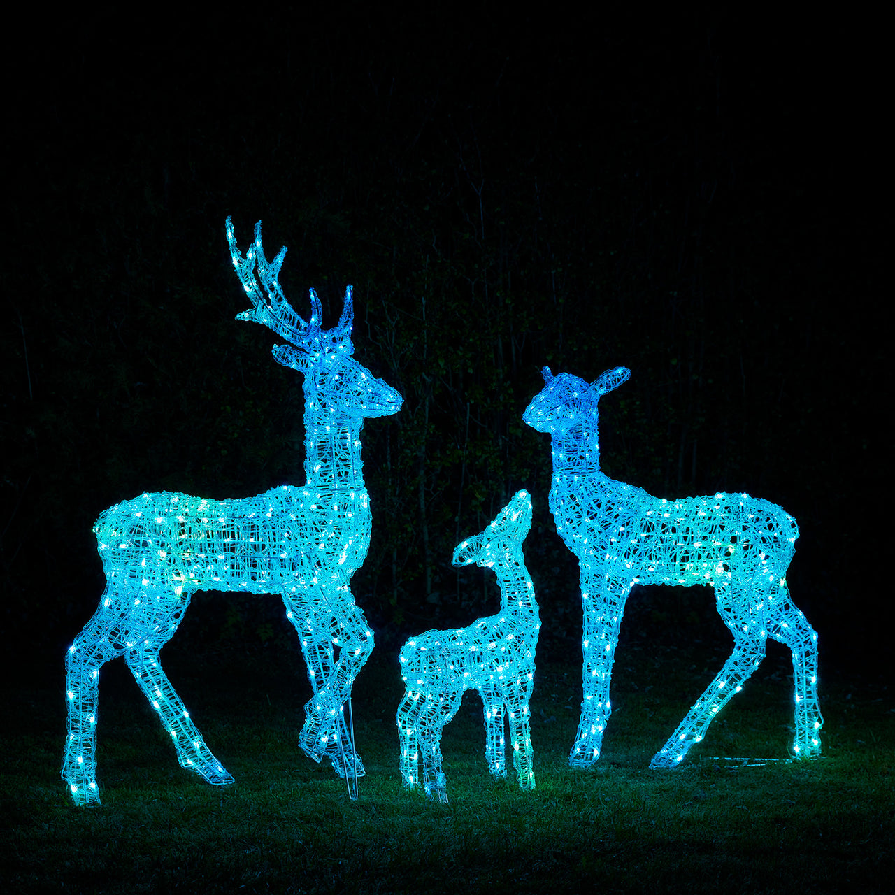 Famille de Rennes Lumineux Connectés Twinkly