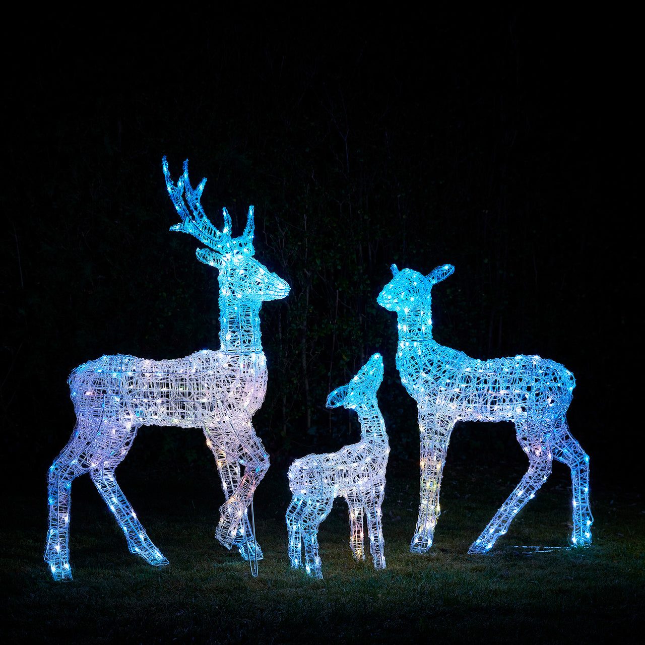 Famille de Rennes Lumineux Connectés Twinkly