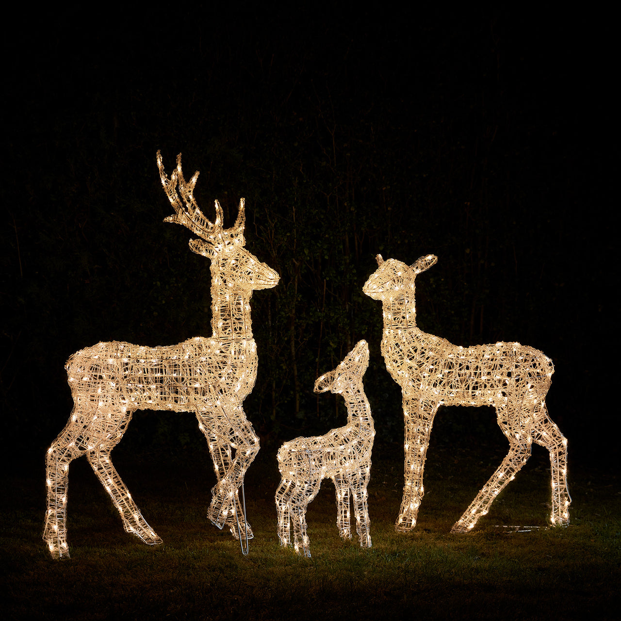 Famille de Rennes Lumineux Connectés Twinkly