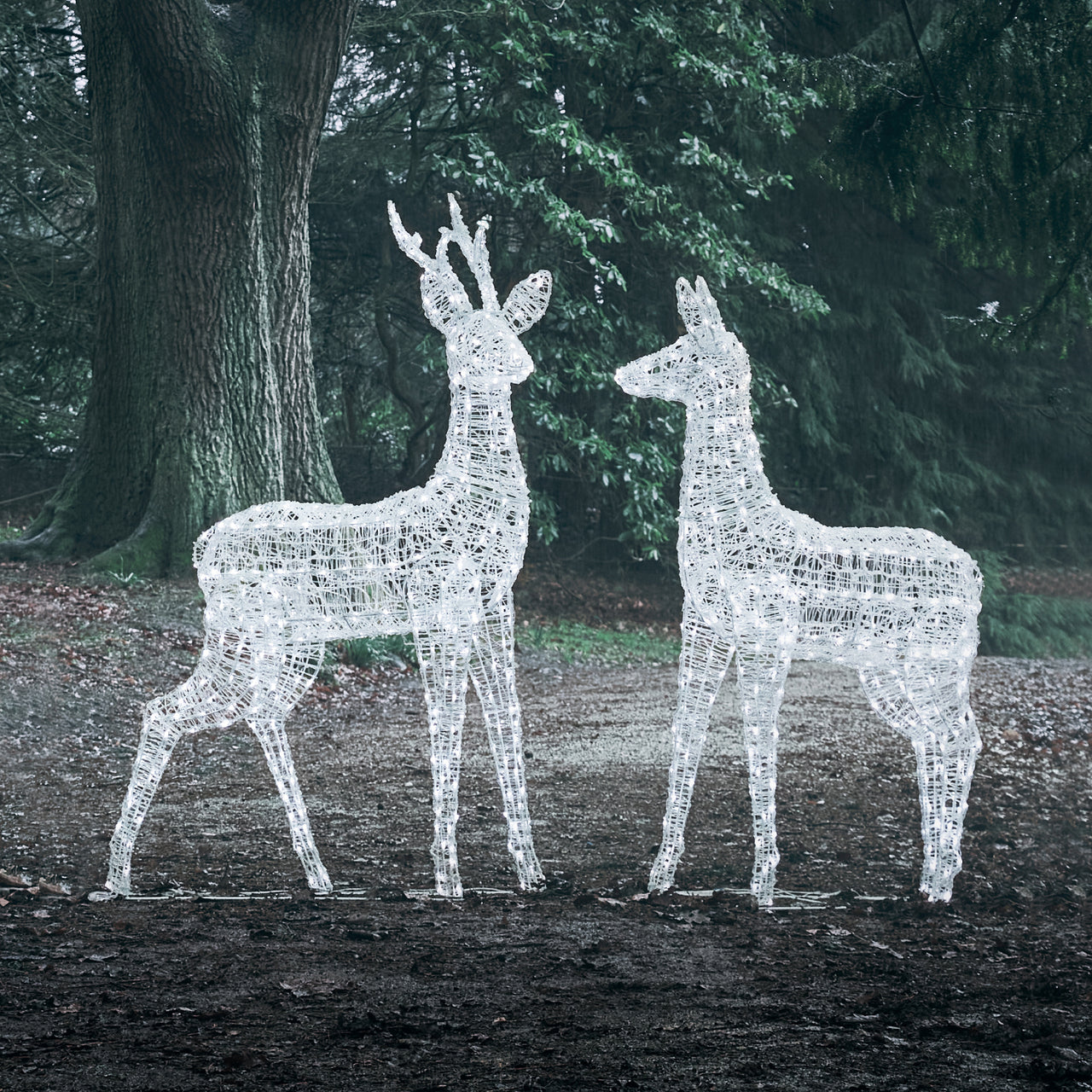 Duo de Grands Rennes Lumineux à LED Bicolores Swinsty