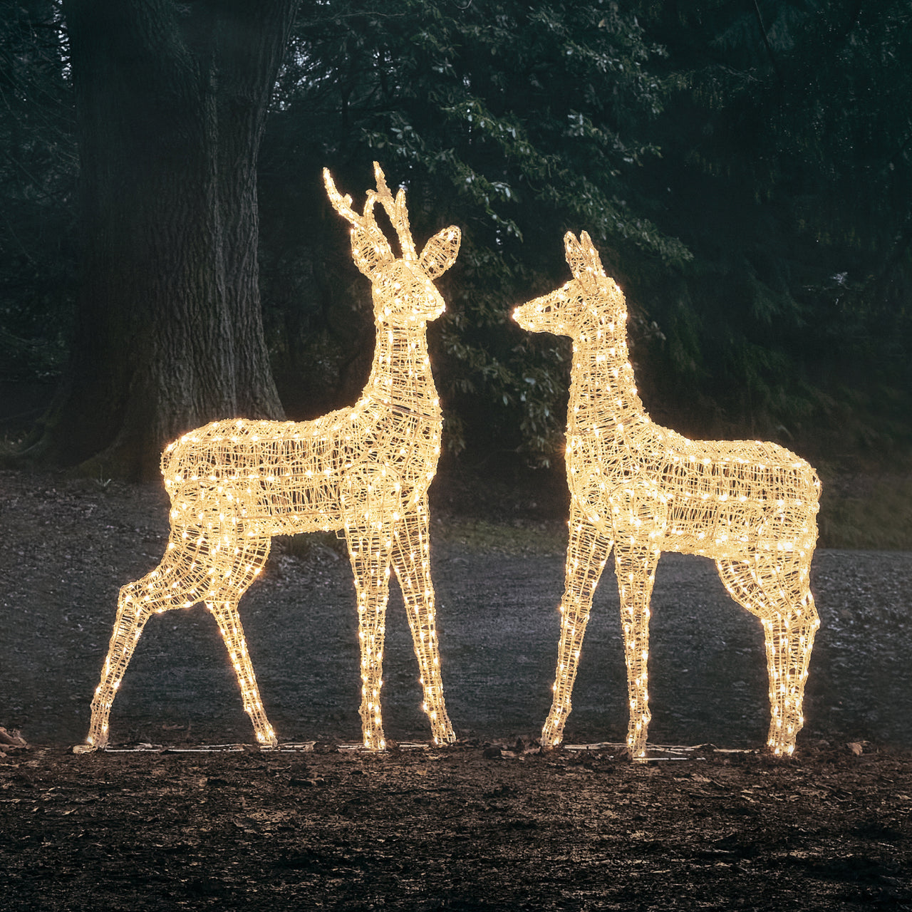Duo de Grands Rennes Lumineux à LED Bicolores Swinsty