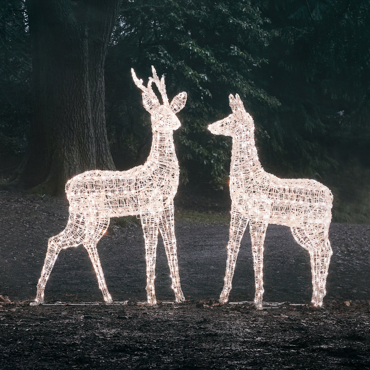 Duo de Grands Rennes Lumineux à LED Bicolores Swinsty