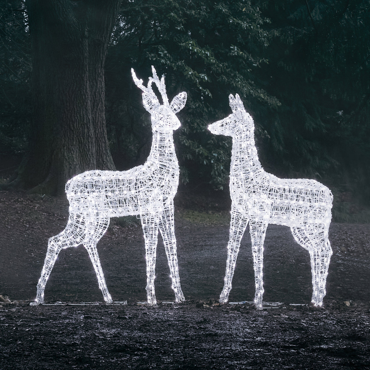 Duo de Grands Rennes Lumineux à LED Bicolores Swinsty