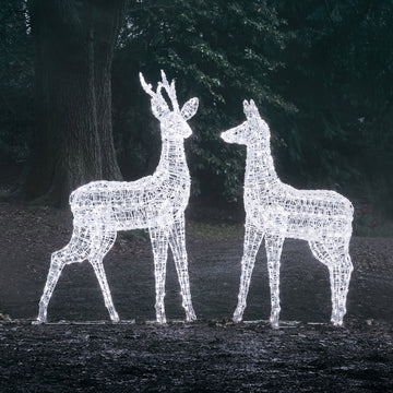 Duo de Grands Rennes Lumineux à LED Bicolores Swinsty