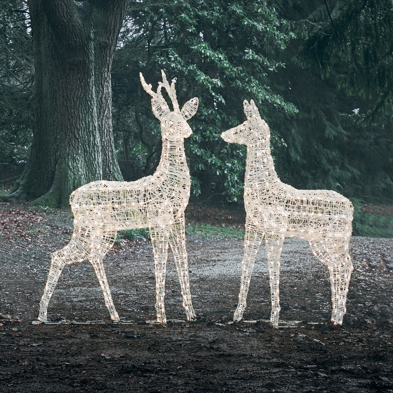 Duo de Grands Rennes Lumineux à LED Bicolores Swinsty