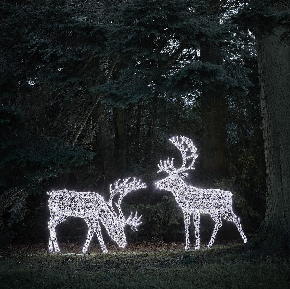 Duo de Grands Rennes de Noël Lumineux Arkendale