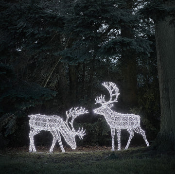 Duo de Grands Rennes de Noël Lumineux Arkendale