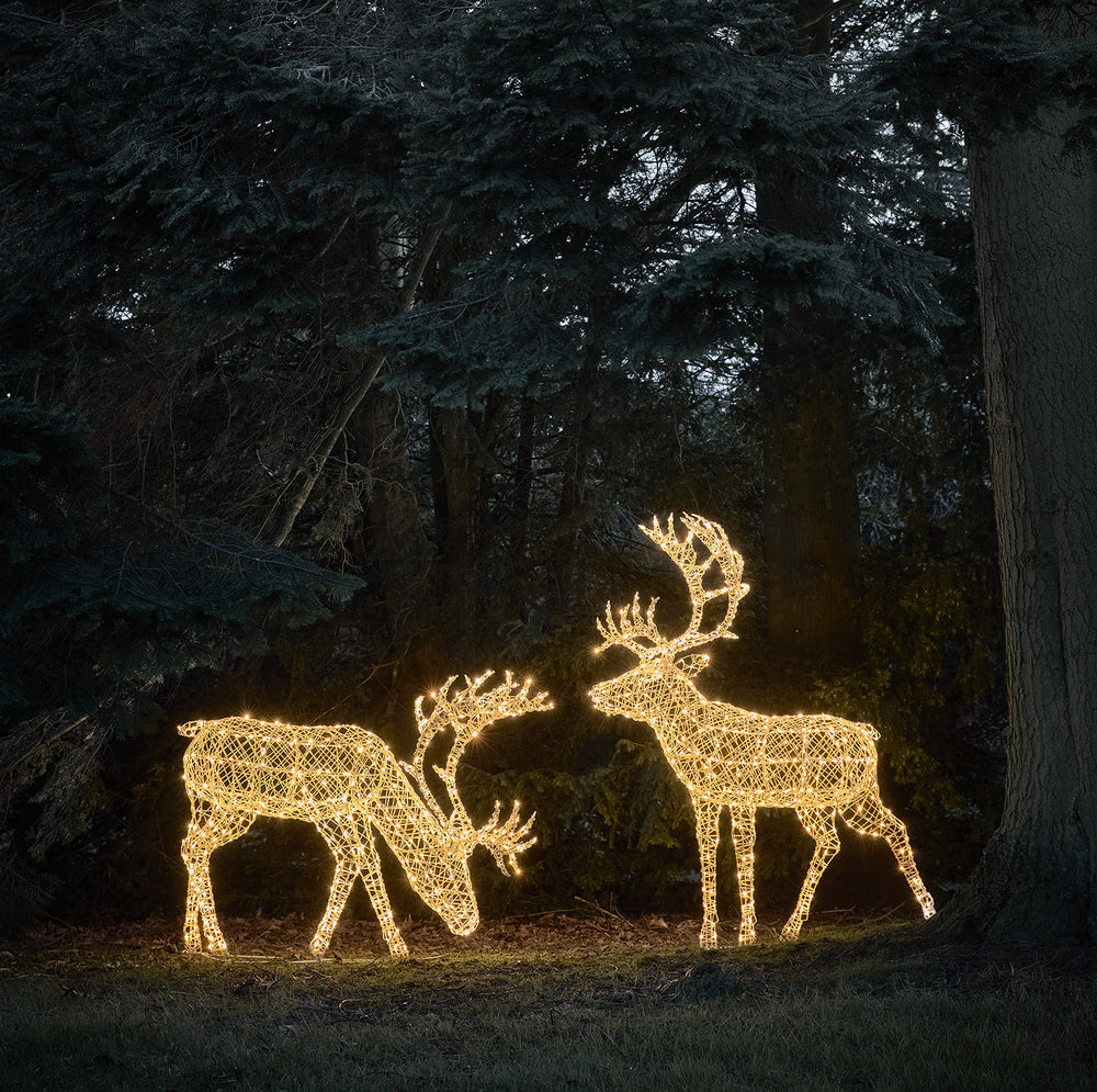 Duo de Grands Rennes Arkendale LED Solaires à LED Bicolores
