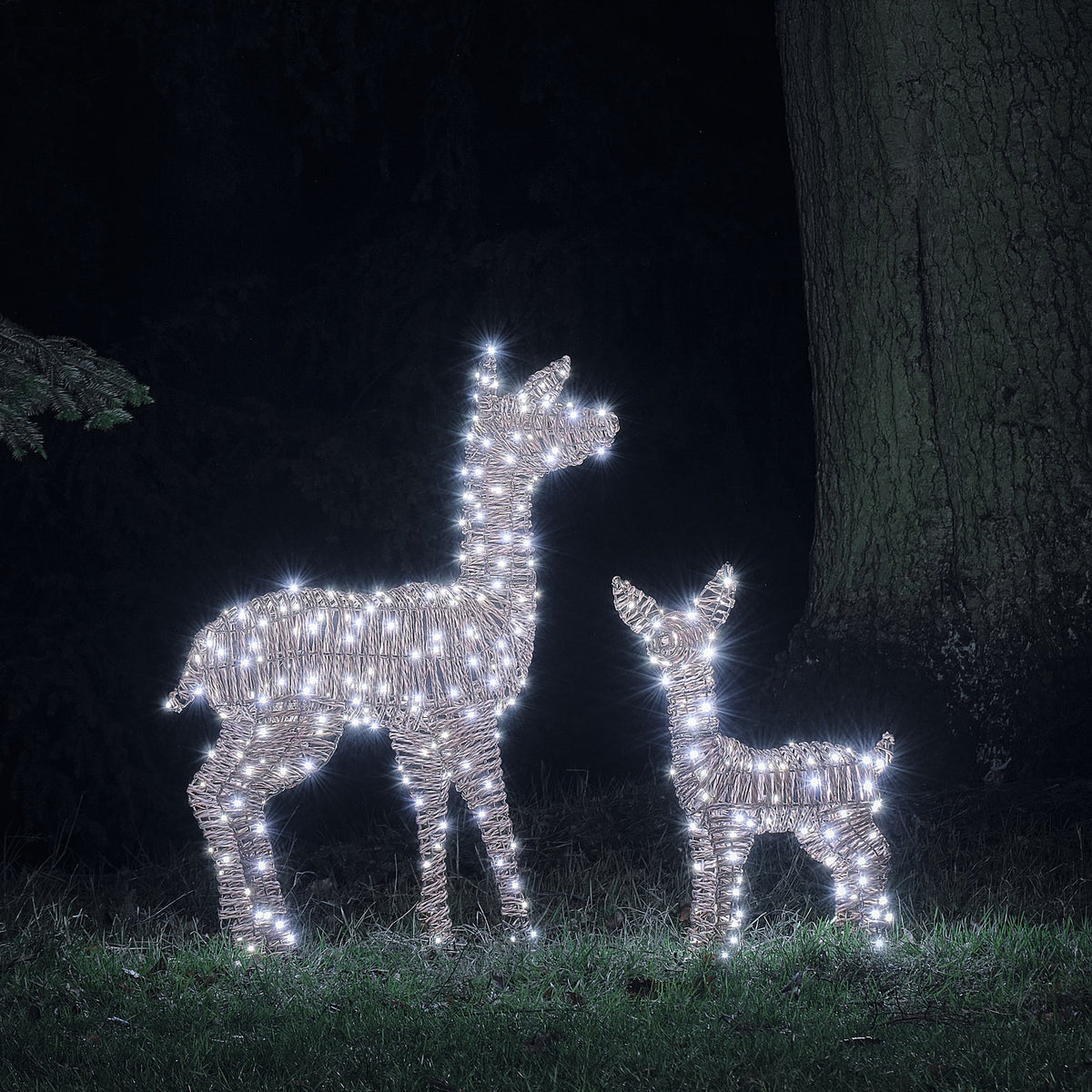 Duo Faon et Biche Lumineux Pateley en Rotin à LED Bicolores