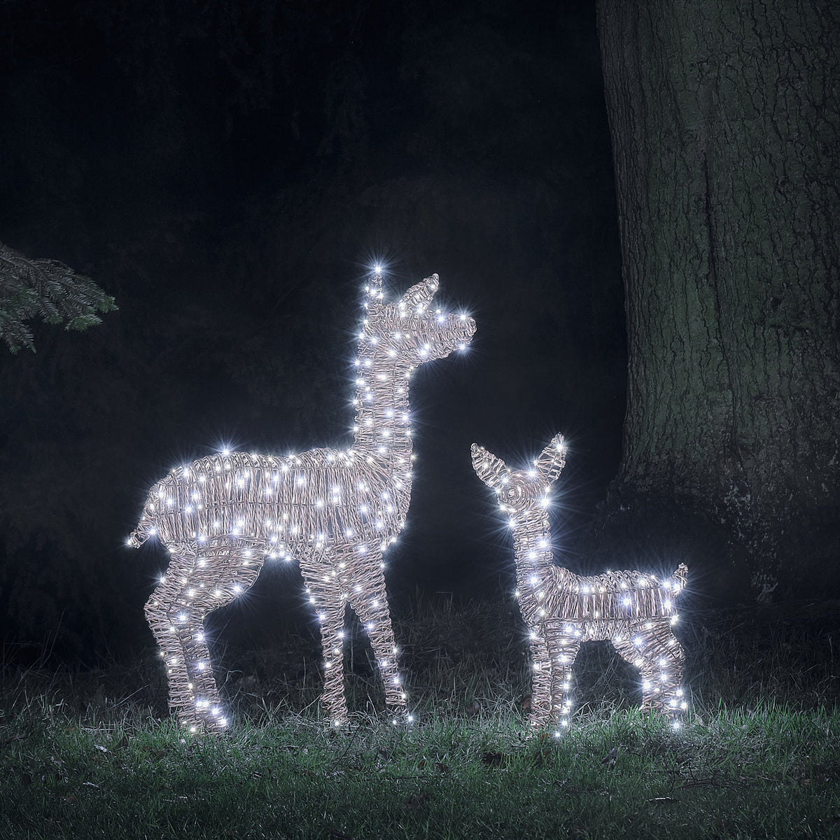 Duo Faon et Biche Lumineux Pateley en Rotin à LED Bicolores