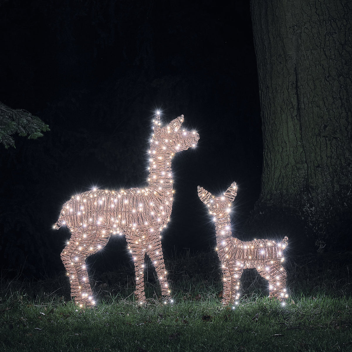 Duo Faon et Biche Lumineux Pateley en Rotin à LED Bicolores