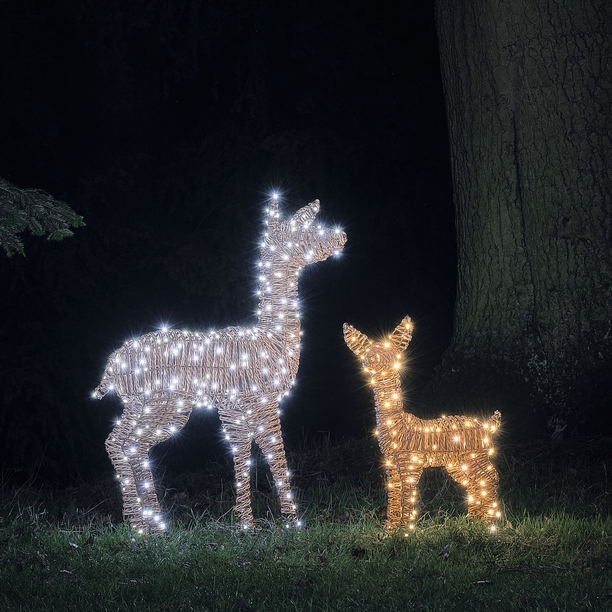 Duo Faon et Biche Lumineux Pateley en Rotin à LED Bicolores