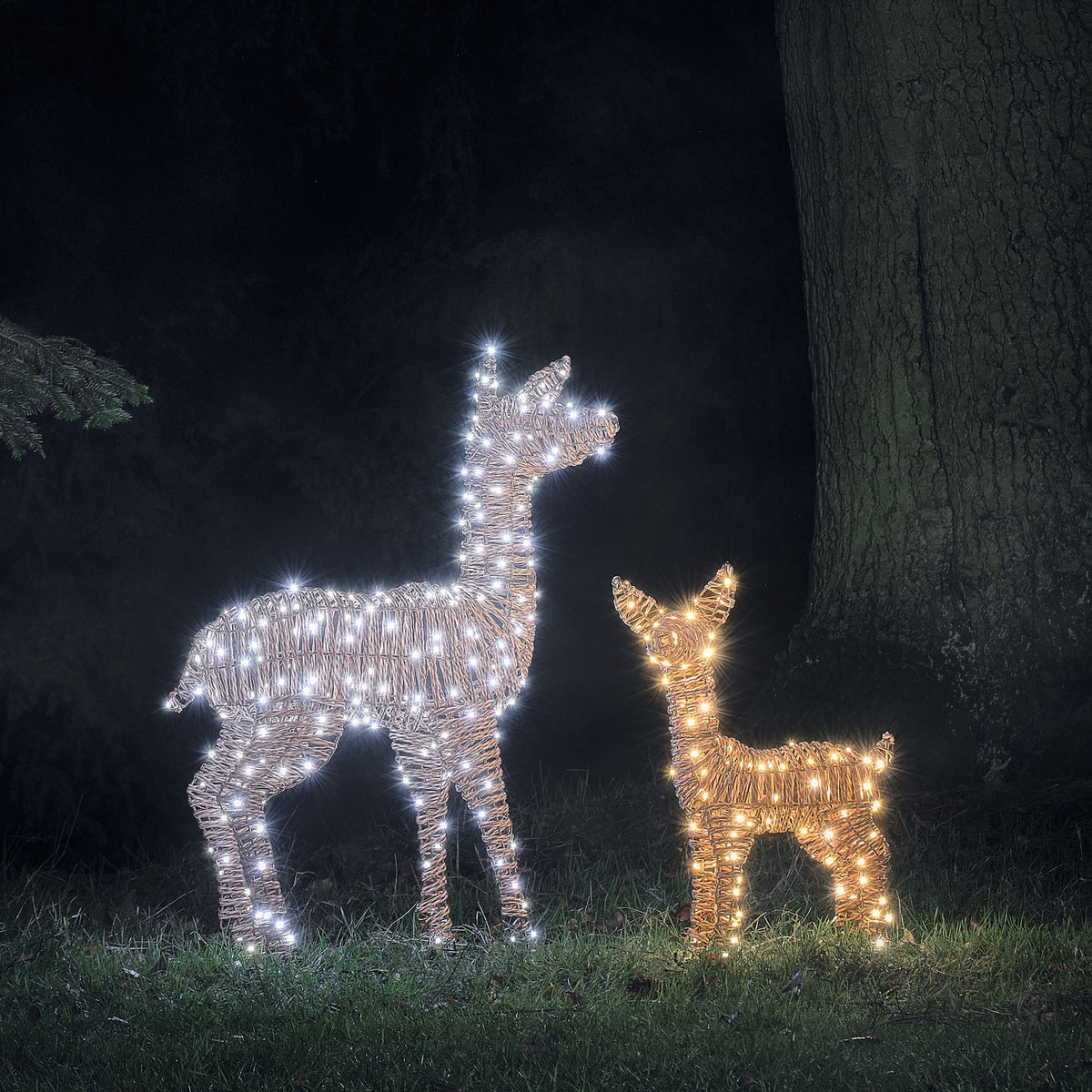 Duo Faon et Biche Lumineux Pateley en Rotin à LED Bicolores
