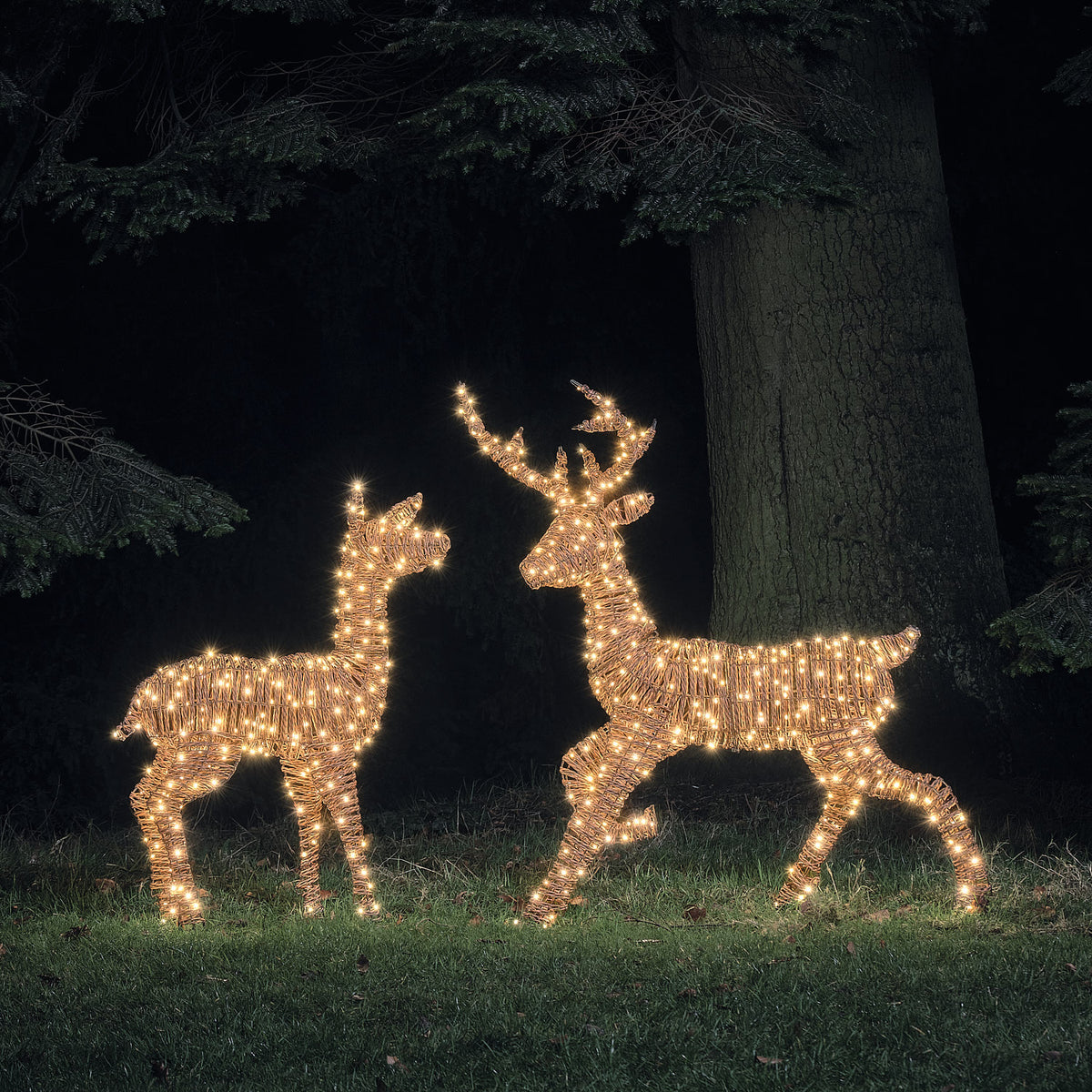 Duo Cerf et Biche Lumineux Pateley en Rotin à LED Bicolores