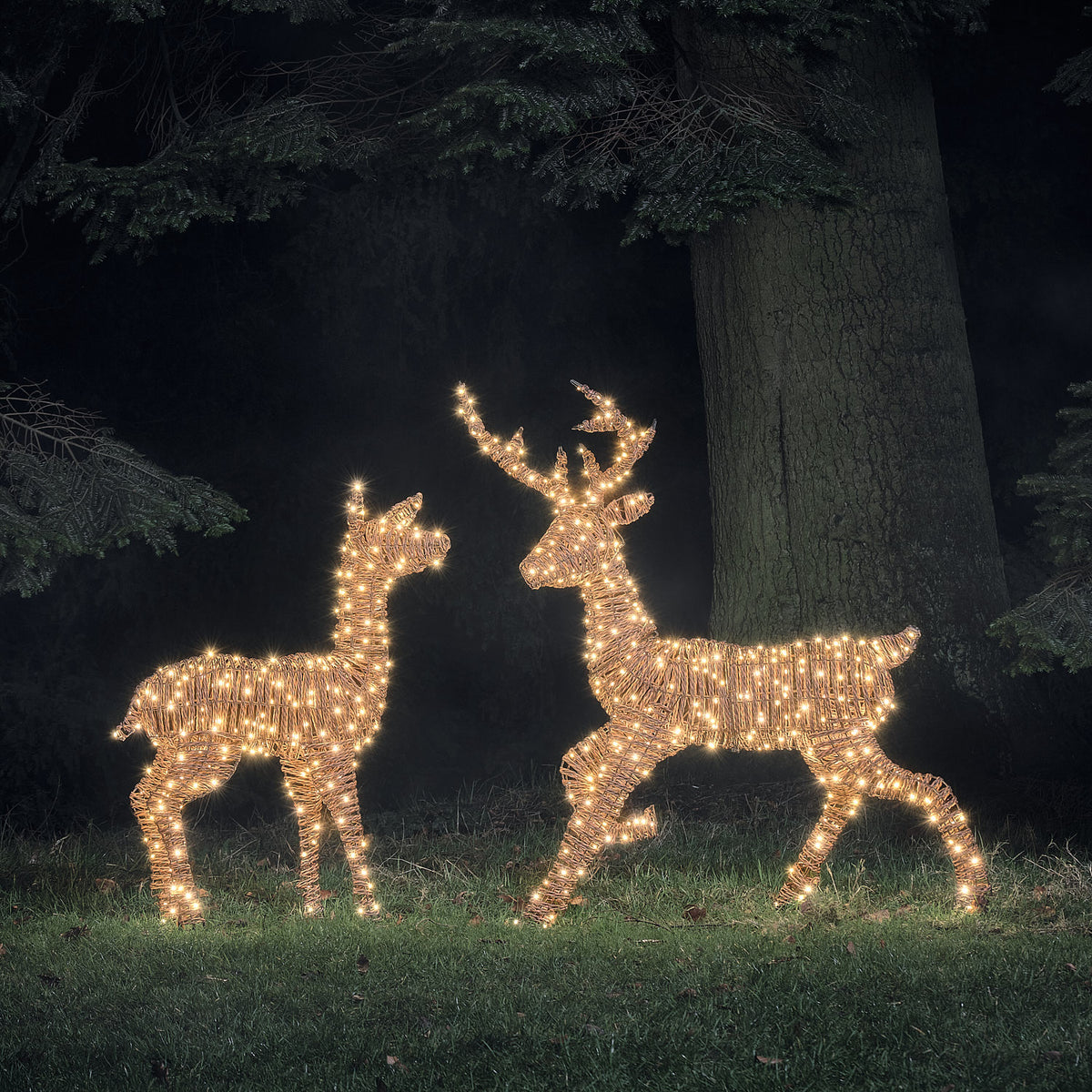 Duo Cerf et Biche Lumineux Pateley en Rotin à LED Bicolores