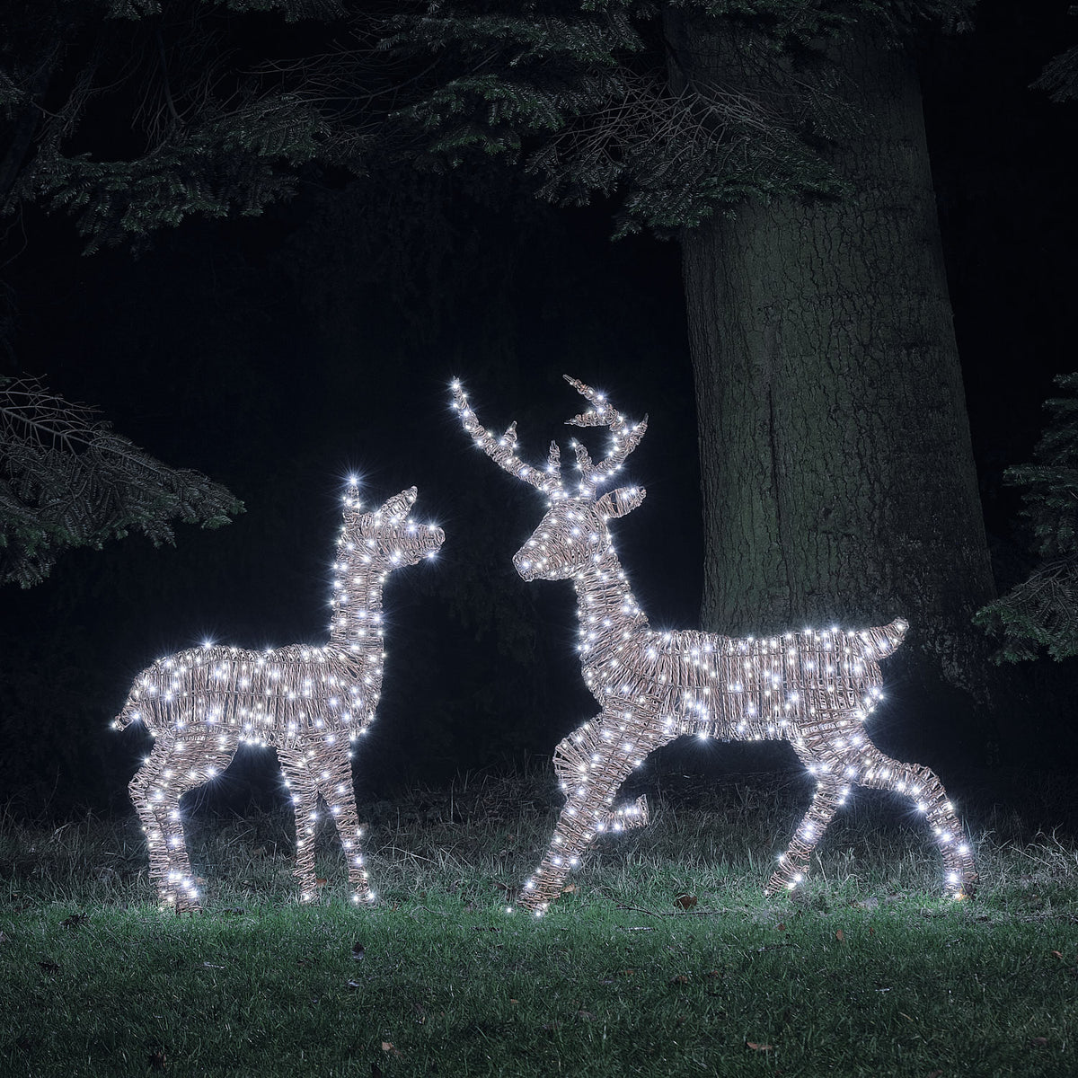 Duo Cerf et Biche Lumineux Pateley en Rotin à LED Bicolores