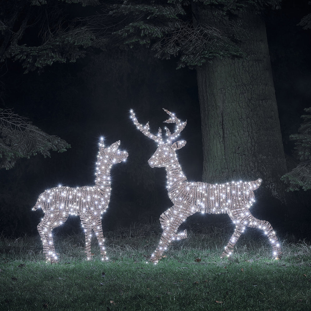 Duo Cerf et Biche Lumineux Pateley en Rotin à LED Bicolores