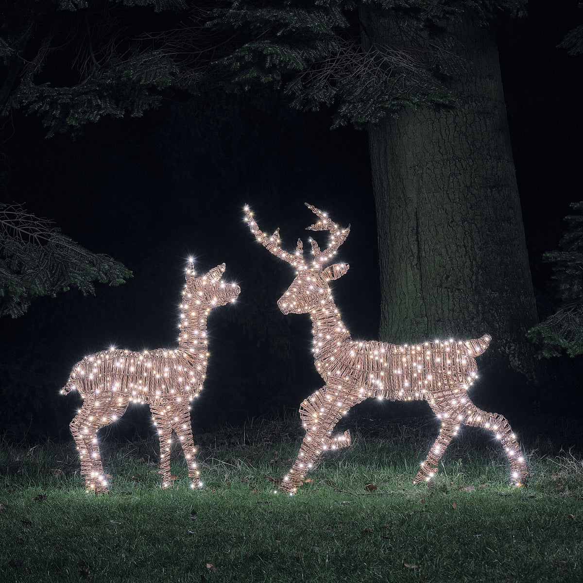 Duo Cerf et Biche Lumineux Pateley en Rotin à LED Bicolores