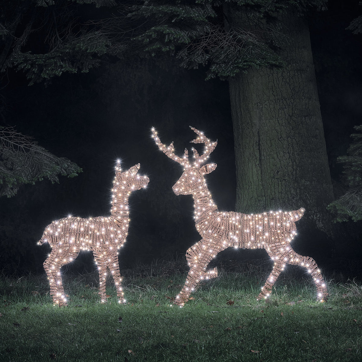 Duo Cerf et Biche Lumineux Pateley en Rotin à LED Bicolores