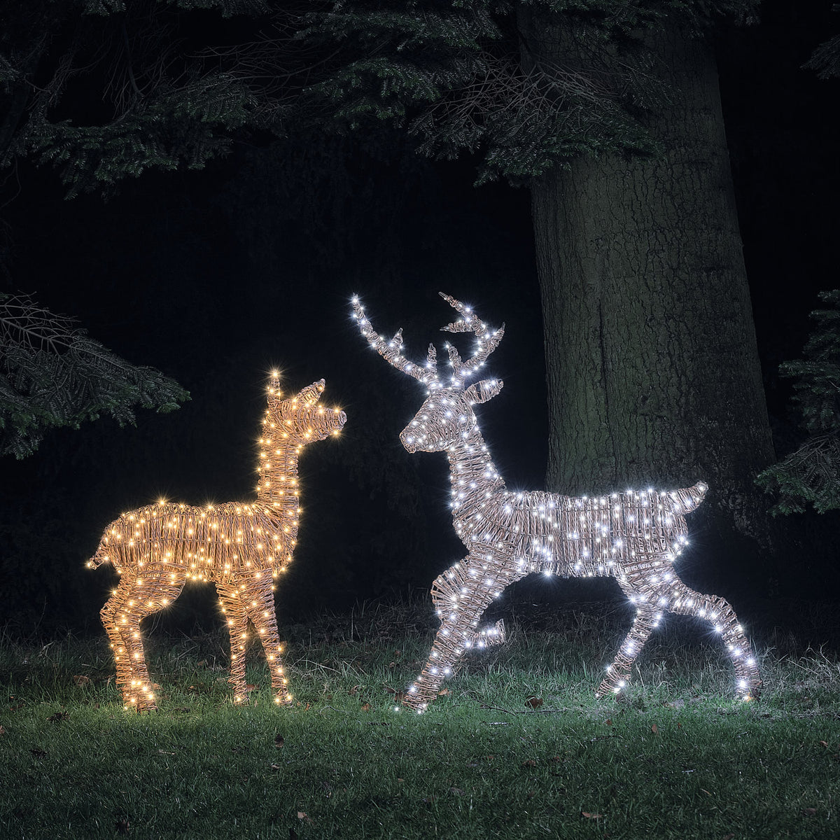 Duo Cerf et Biche Lumineux Pateley en Rotin à LED Bicolores