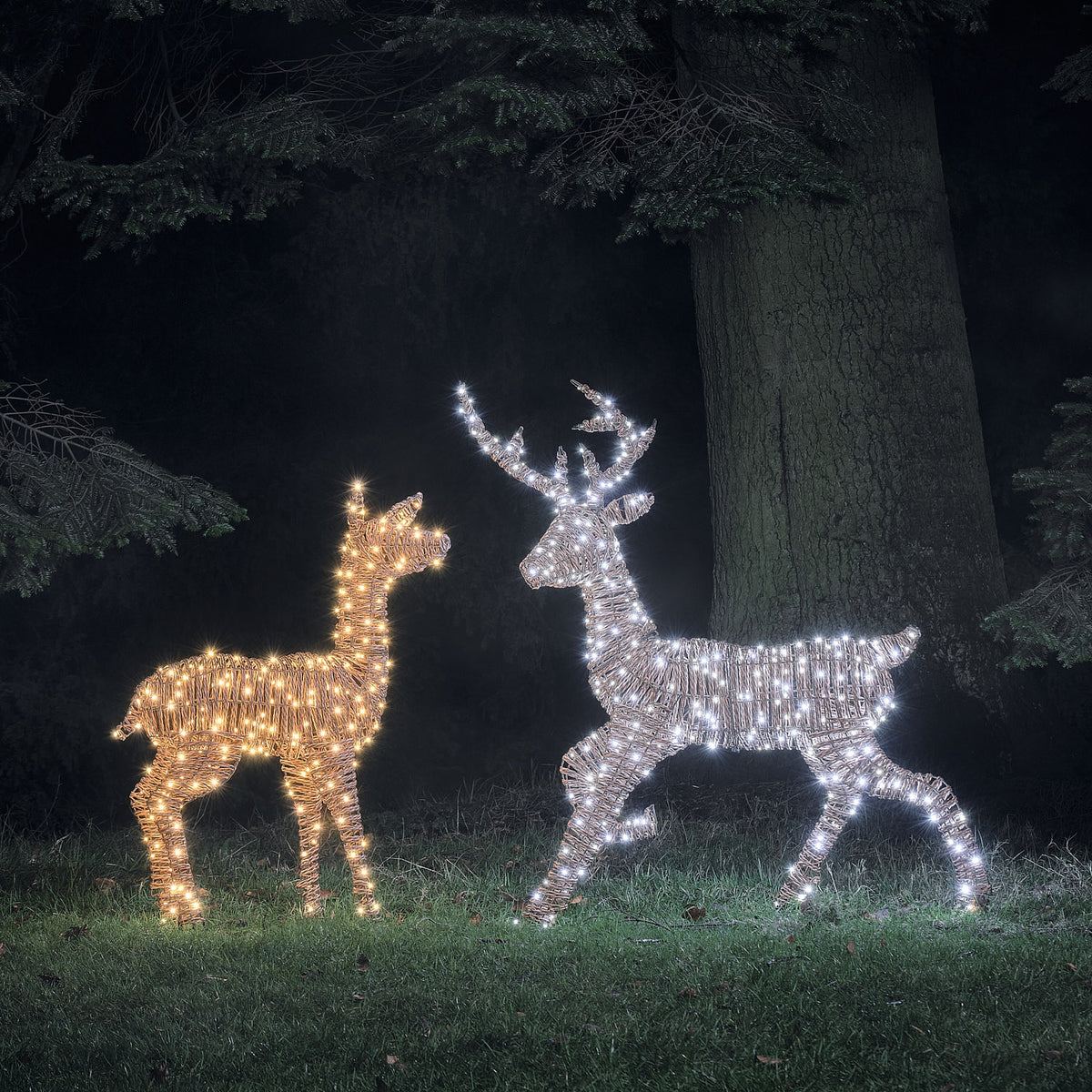 Duo Cerf et Biche Lumineux Pateley en Rotin à LED Bicolores