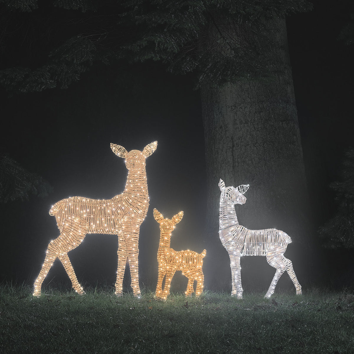 Trio Grande Biche et 2 Faons Lumineux Leyburn en Rotin à LED Bicolores