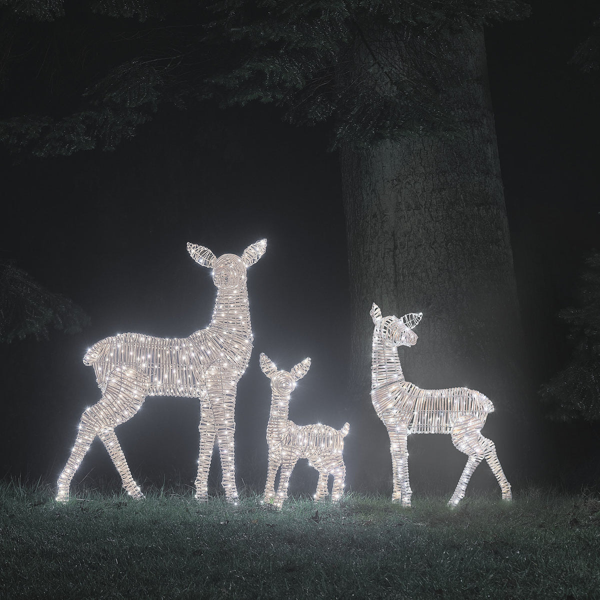 Trio Grande Biche et 2 Faons Lumineux Leyburn en Rotin à LED Bicolores