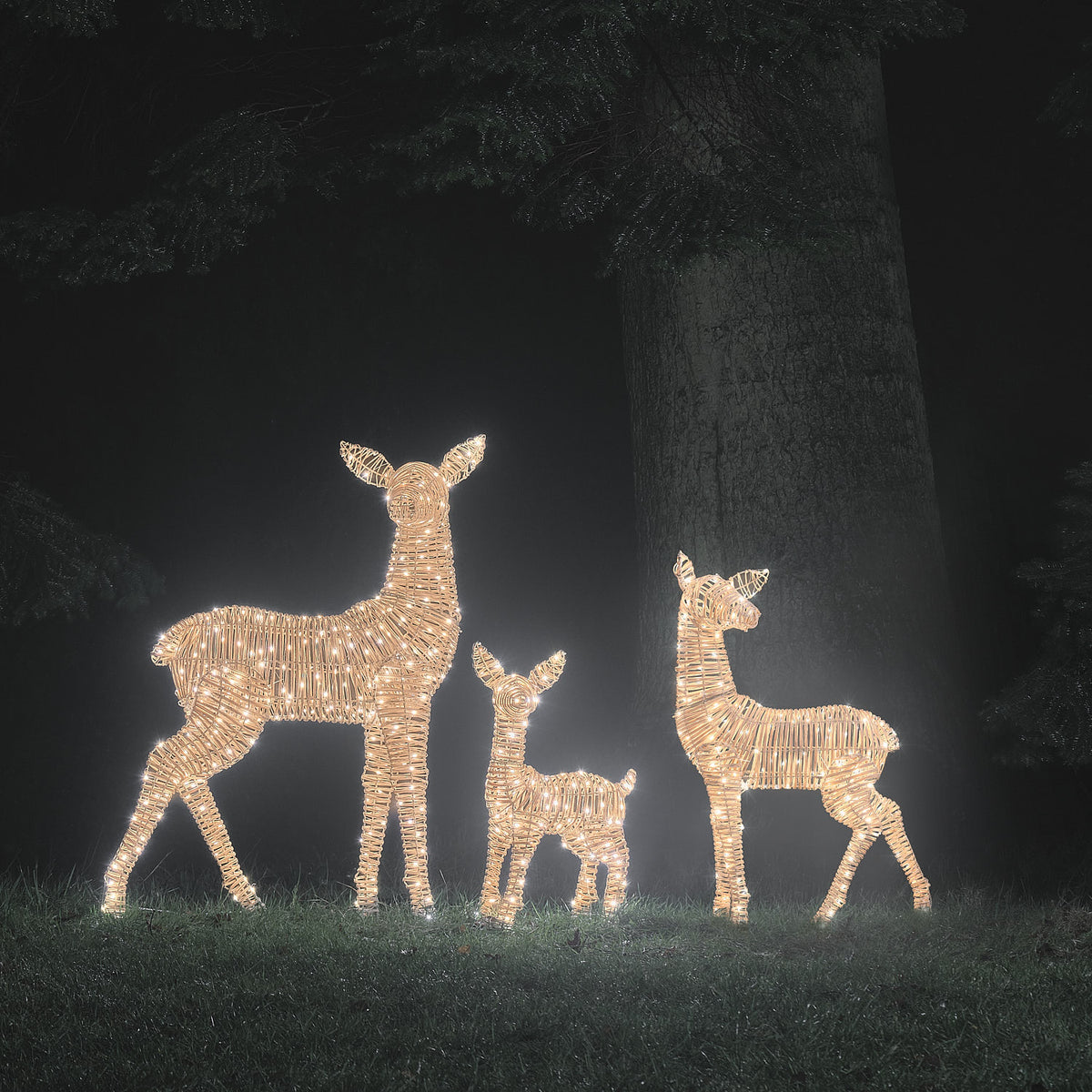 Trio Grande Biche et 2 Faons Lumineux Leyburn en Rotin à LED Bicolores