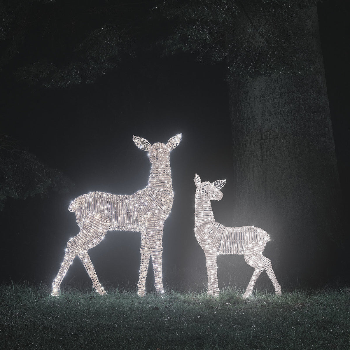 Duo Grande Biche et Grand Faon Lumineux Leyburn en Rotin à LED Bicolores