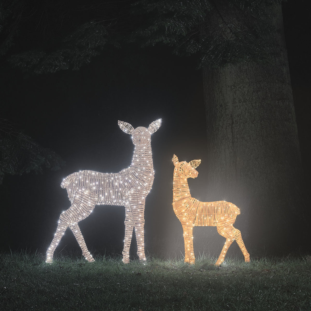Duo Grande Biche et Grand Faon Lumineux Leyburn en Rotin à LED Bicolores
