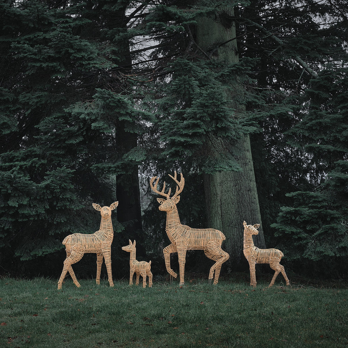 Duo Grande Biche et Grand Faon Lumineux Leyburn en Rotin à LED Bicolores